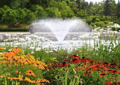 Sunken Garden