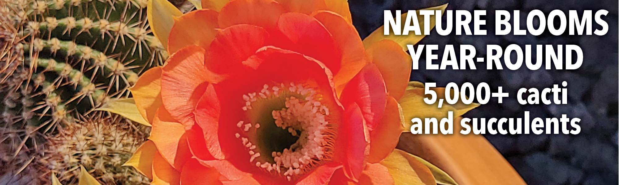 Nature blooms year-round in our Conservatory